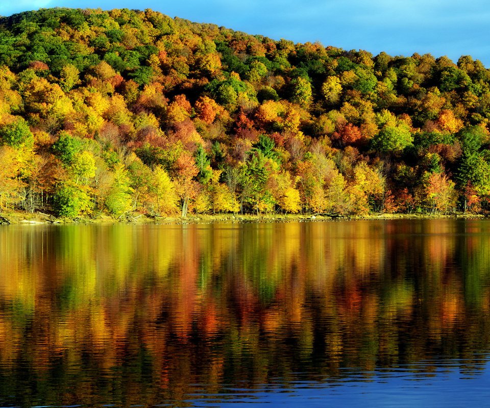 Обои деревья, вода, отражение, осень, красота, пейзаж. природа, время года, trees, water, reflection, autumn, beauty, landscape. nature, time of the year разрешение 2048x1356 Загрузить