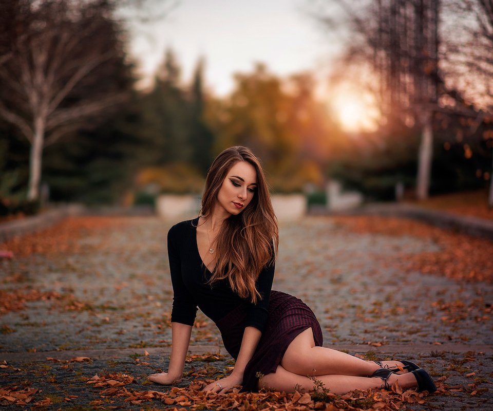 Обои листья, девушка, поза, ножки, leaves, girl, pose, legs разрешение 2048x1367 Загрузить