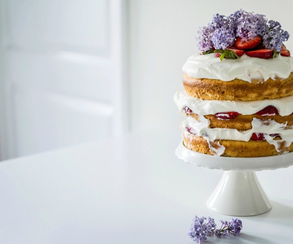 Обои цветы, крем для торта, клубника, сирень, торт, коржи, flowers, cream cake, strawberry, lilac, cake, cakes разрешение 2000x1383 Загрузить