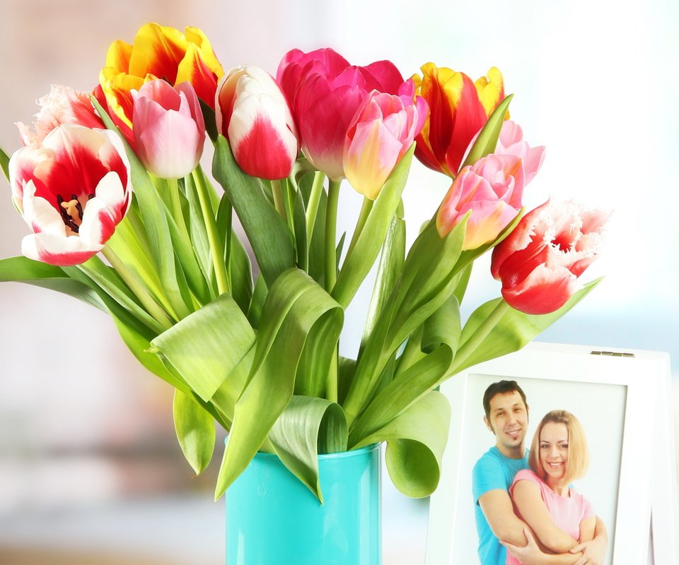 Обои фото, тюльпаны, тульпаны, photo, tulips разрешение 3279x2358 Загрузить