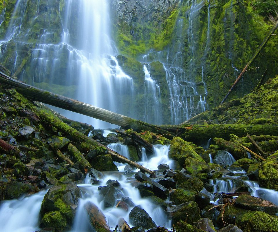 Обои камни, водопад, мох, бревна, орегон, каскад, stones, waterfall, moss, logs, oregon, cascade разрешение 2048x1365 Загрузить