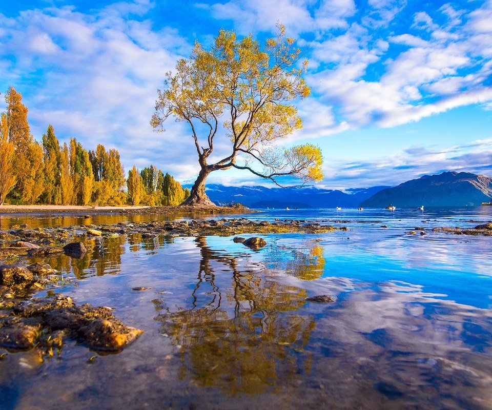 Обои вода, горы, дерево, камни, лес, отражение, оезро, water, mountains, tree, stones, forest, reflection, outro разрешение 1920x1087 Загрузить