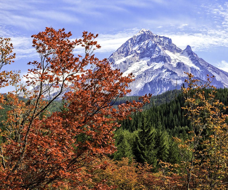 Обои деревья, горы, пейзаж, осень, trees, mountains, landscape, autumn разрешение 2000x1301 Загрузить