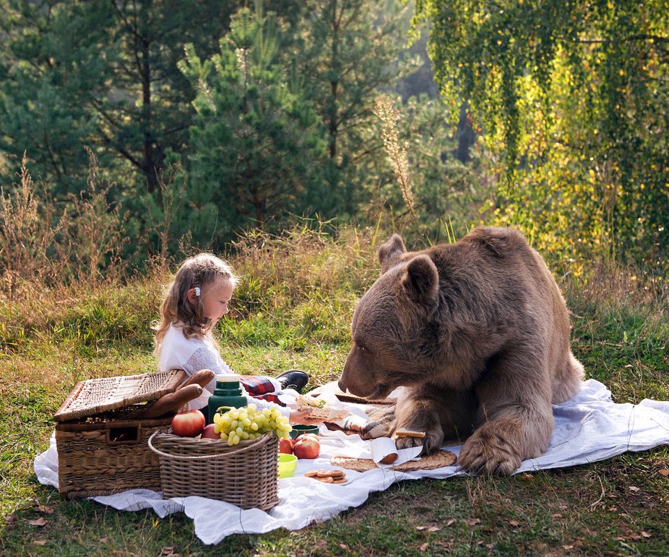 Обои природа, медведь, девочка, пикник, маша и медведь, nature, bear, girl, picnic, masha and the bear разрешение 4252x2835 Загрузить