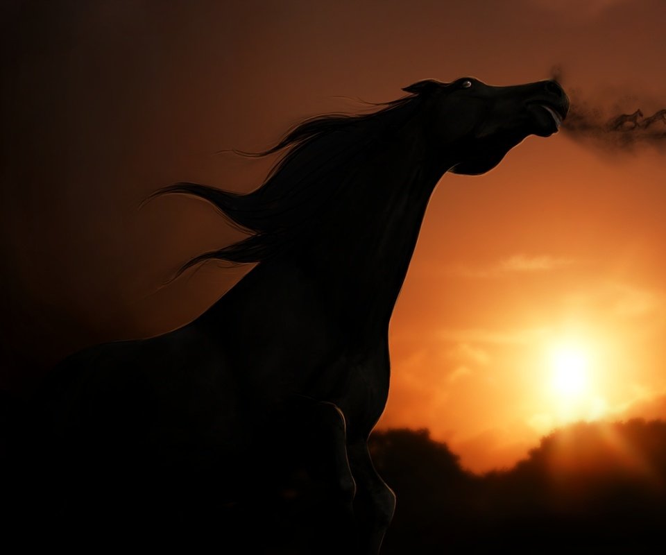 Обои небо, лошадь, закат, взгляд, тень, рендеринг, the sky, horse, sunset, look, shadow, rendering разрешение 2000x1235 Загрузить