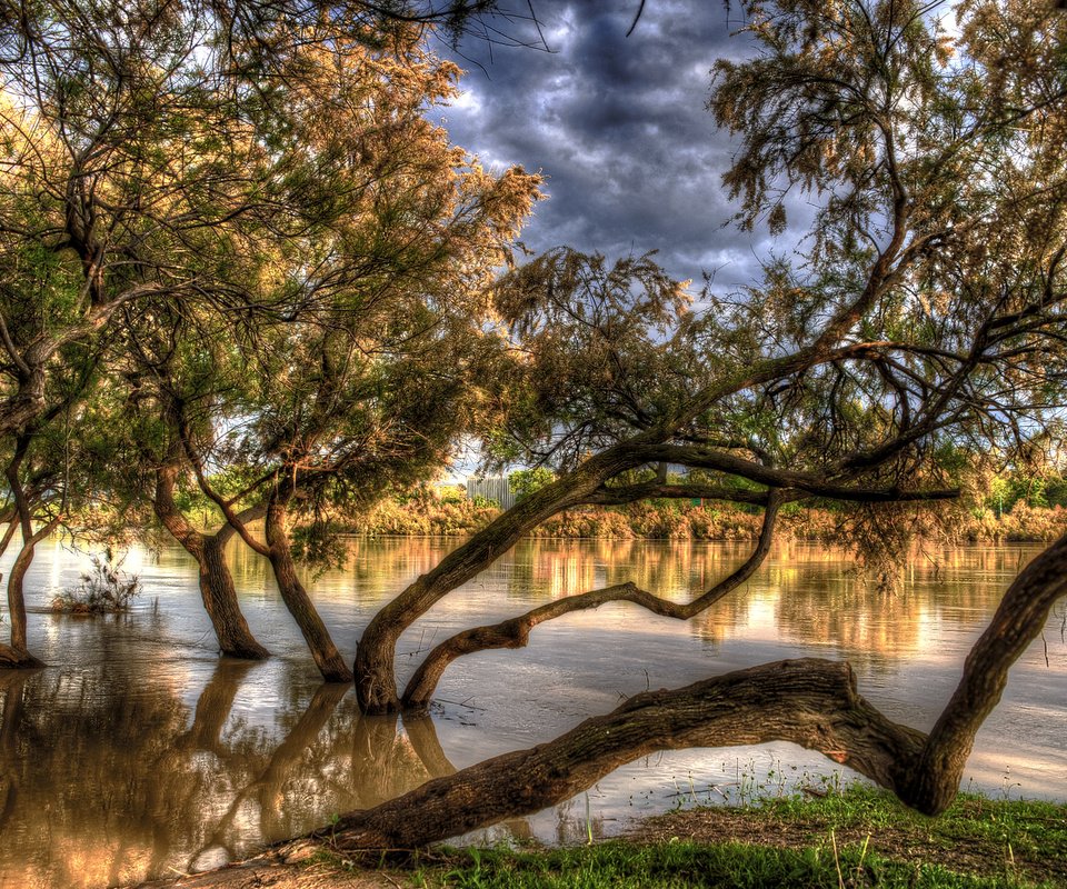 Обои деревья, река, осень, испания, hdr, в воде, aragon, сарагоса, trees, river, autumn, spain, in the water, zaragoza разрешение 2048x1365 Загрузить