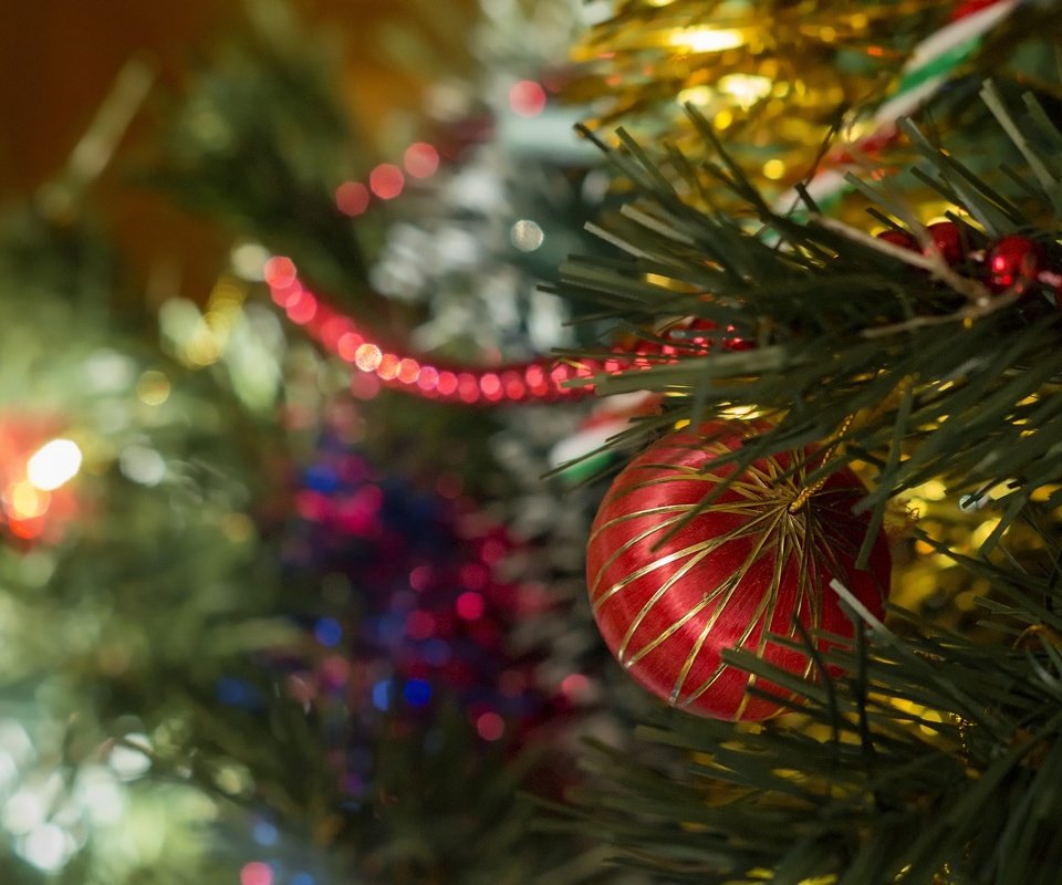 Обои новый год, елка, украшения, шар, рождество, новогодние украшения, new year, tree, decoration, ball, christmas, christmas decorations разрешение 2880x1917 Загрузить