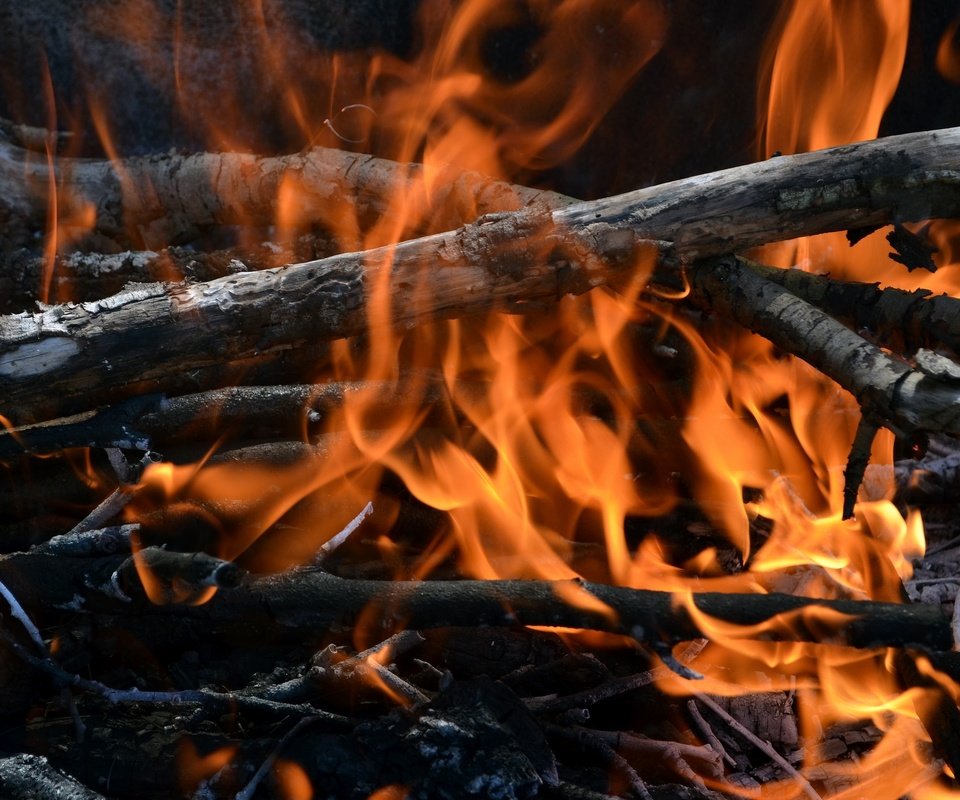 Обои огонь, костёр, хворост, fire, the fire, firewood разрешение 2400x1510 Загрузить