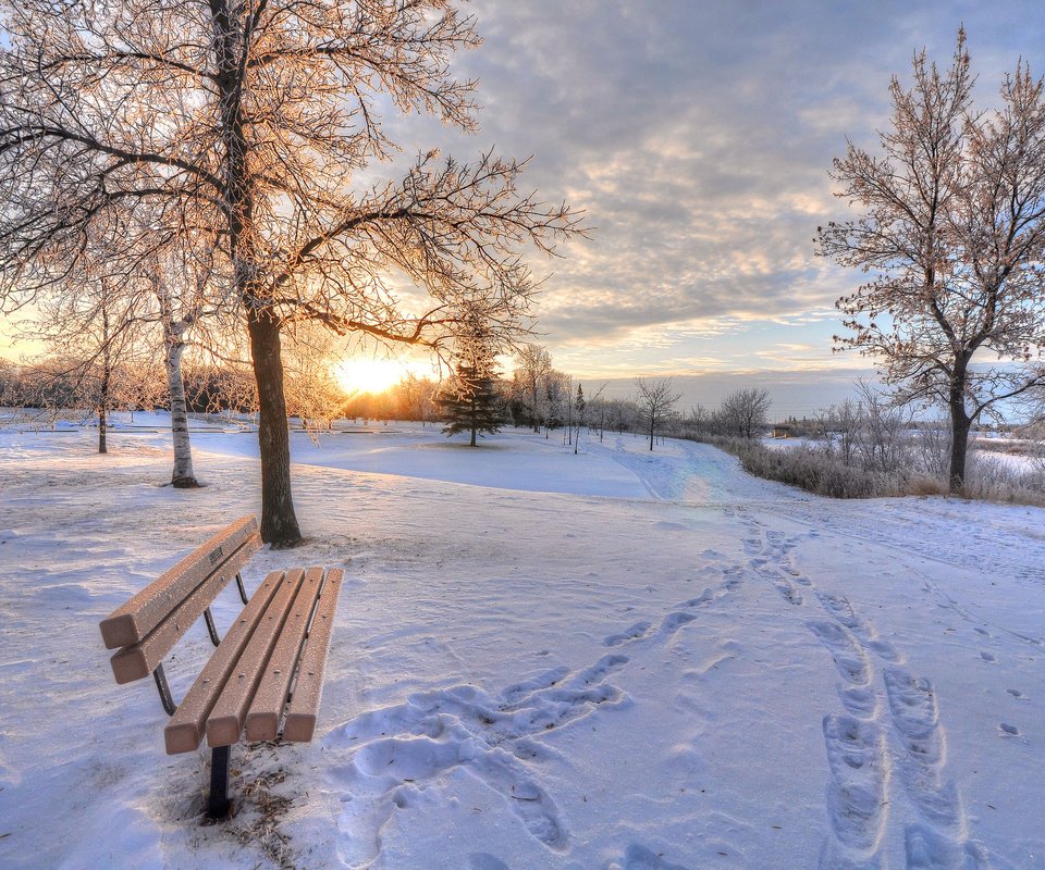Обои деревья, снег, зима, скамейка, trees, snow, winter, bench разрешение 2048x1360 Загрузить