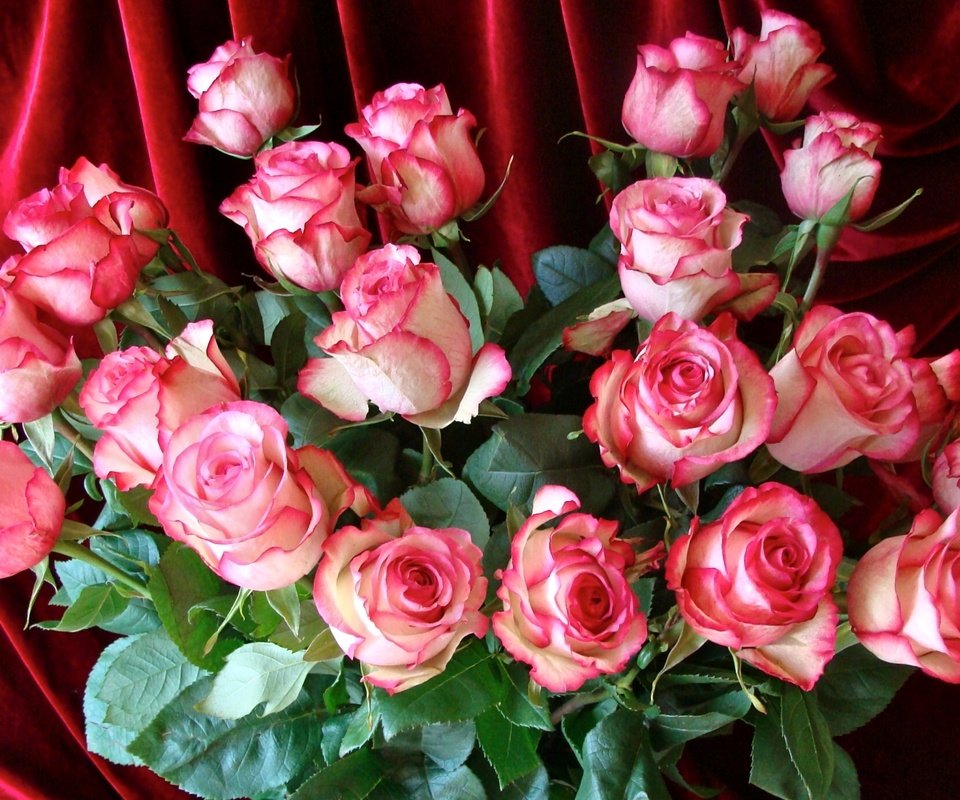Обои розы, букет, розовый, roses, bouquet, pink разрешение 1920x1218 Загрузить