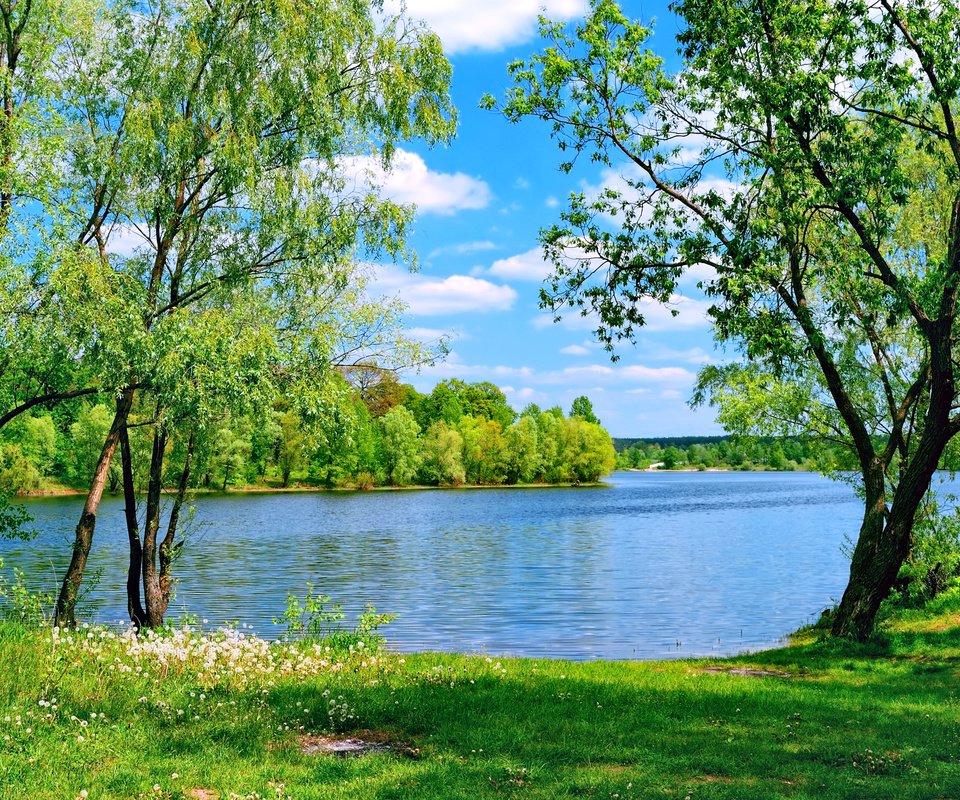 Обои небо, деревья, озеро, природа, лето, the sky, trees, lake, nature, summer разрешение 2400x1600 Загрузить