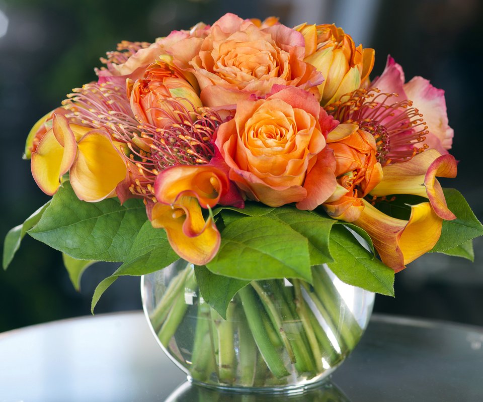 Обои розы, букет, ваза, роз, букеты, callas, roses, bouquet, vase, bouquets разрешение 3000x2320 Загрузить