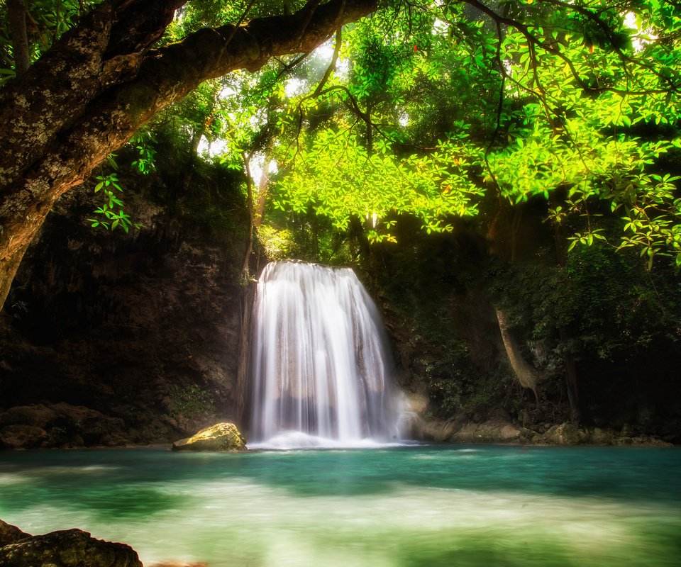 Обои вода, дерево, водопад, поток, зеленые листья, water, tree, waterfall, stream, green leaves разрешение 2048x1366 Загрузить