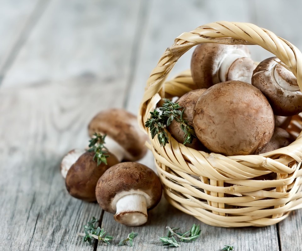 Обои грибы, корзинка, шампиньоны, портабелло, портобелло, mushrooms, basket, portabello, portobello разрешение 2700x1800 Загрузить