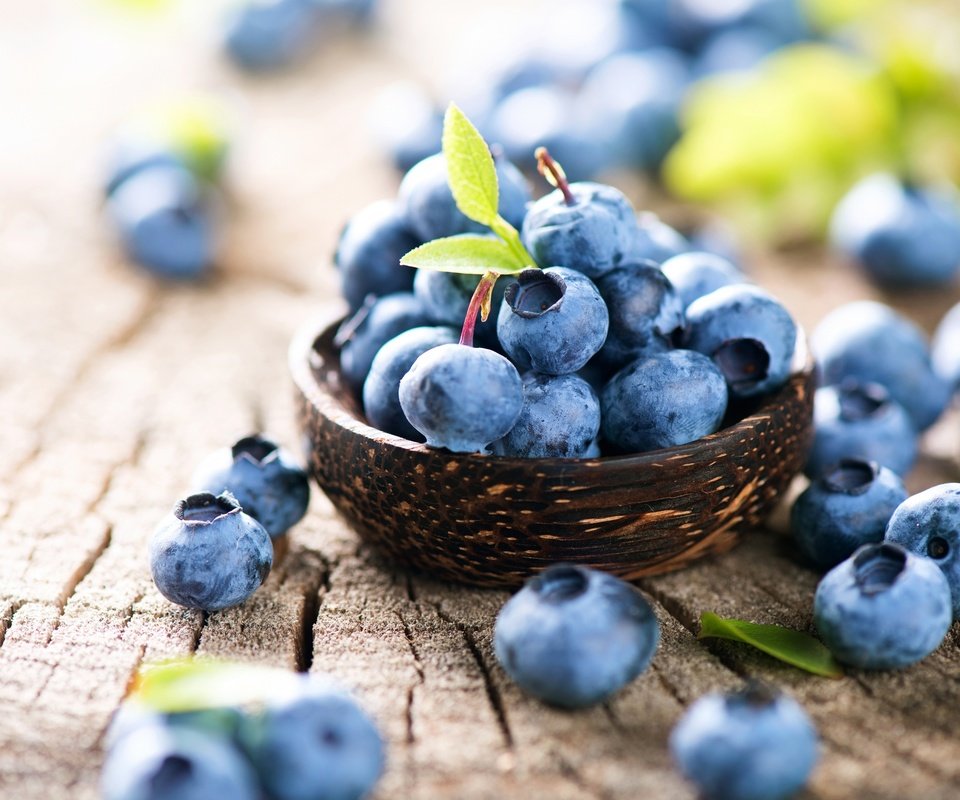 Обои ягоды, лесные ягоды, черника, парное, черничный, berries, blueberries, fresh, blueberry разрешение 2880x1922 Загрузить
