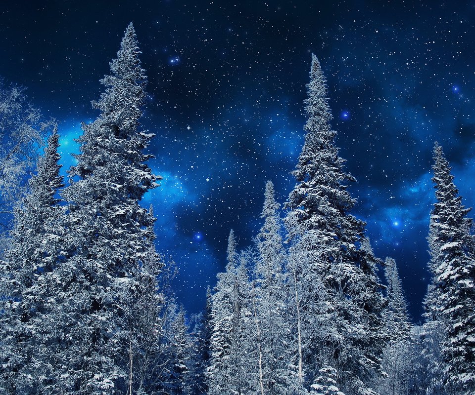 Обои небо, ели, ночь, неба, деревья, деревь, на природе, ноч, снег, звезд, природа, зима, звезды, мороз, the sky, ate, night, sky, trees, snow, nature, winter, stars, frost разрешение 1920x1200 Загрузить