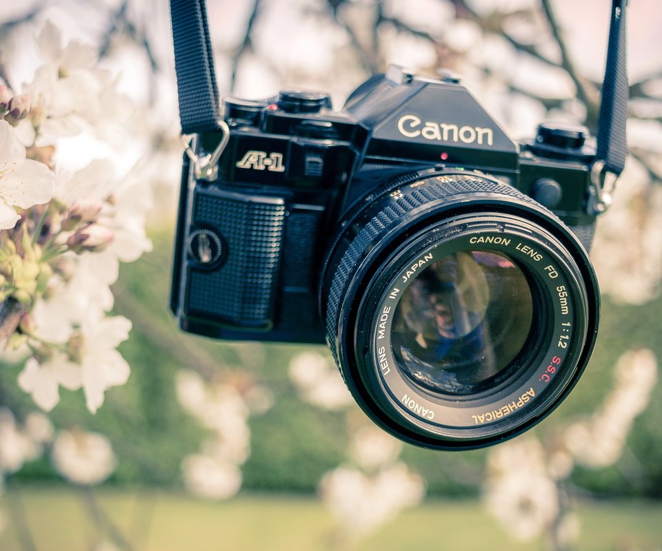 Обои сад, весна, камера, канон, garden, spring, camera, canon разрешение 2560x1610 Загрузить