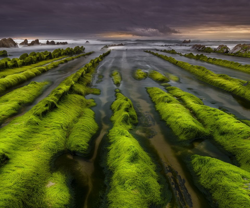 Обои скалы, камни, берег, море, водоросли, rocks, stones, shore, sea, algae разрешение 2048x1297 Загрузить