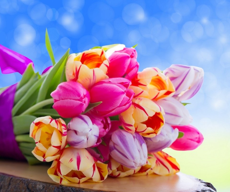 Обои цветы, букет, тюльпаны, flowers, bouquet, tulips разрешение 2560x1600 Загрузить