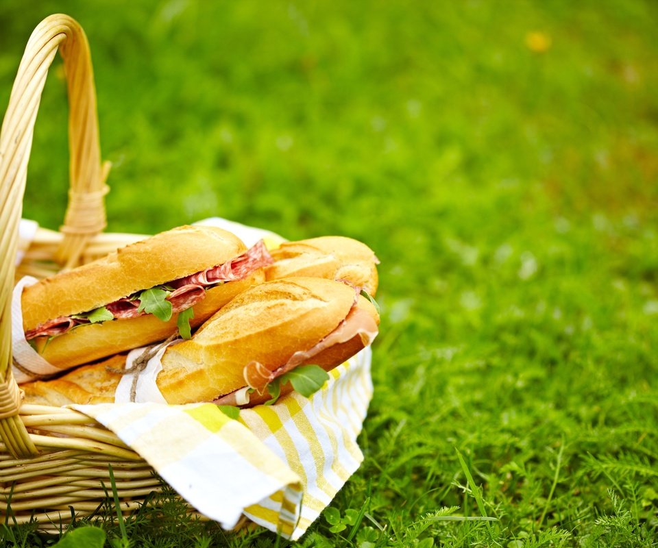 Обои трава, природа, корзина, пикник, бутерброды, grass, nature, basket, picnic, sandwiches разрешение 2808x1872 Загрузить