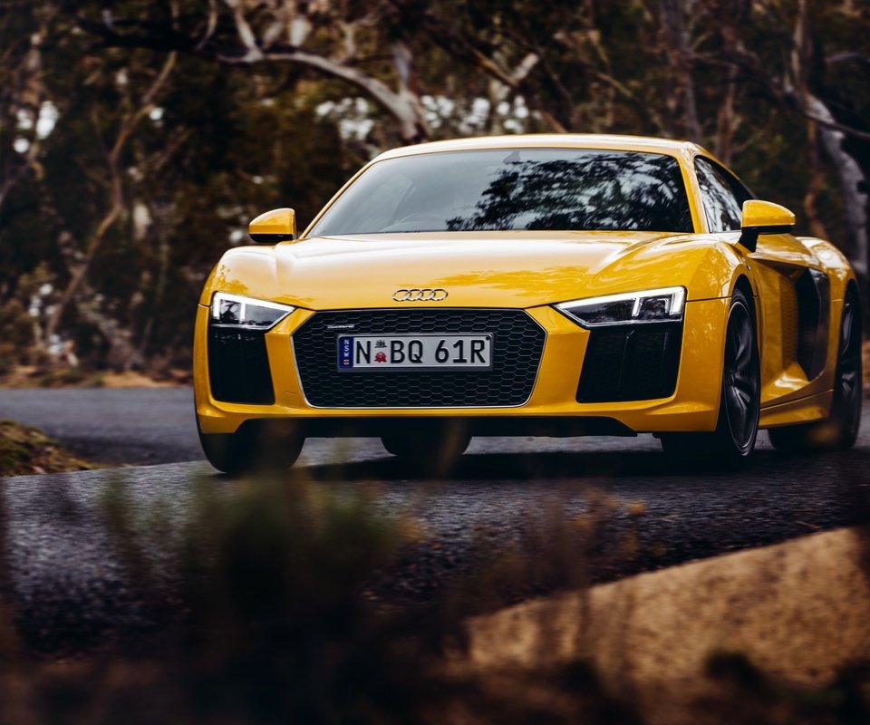 Обои желтый, ауди, v10, yellow, audi разрешение 4096x2731 Загрузить