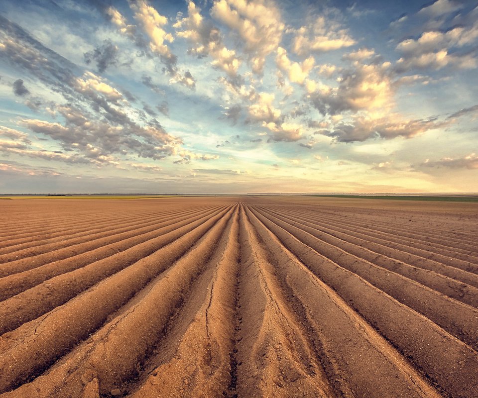 Обои небо, облака, земля, природа, поле, горизонт, пашня, пахота, the sky, clouds, earth, nature, field, horizon, arable land, plowing разрешение 2048x1365 Загрузить