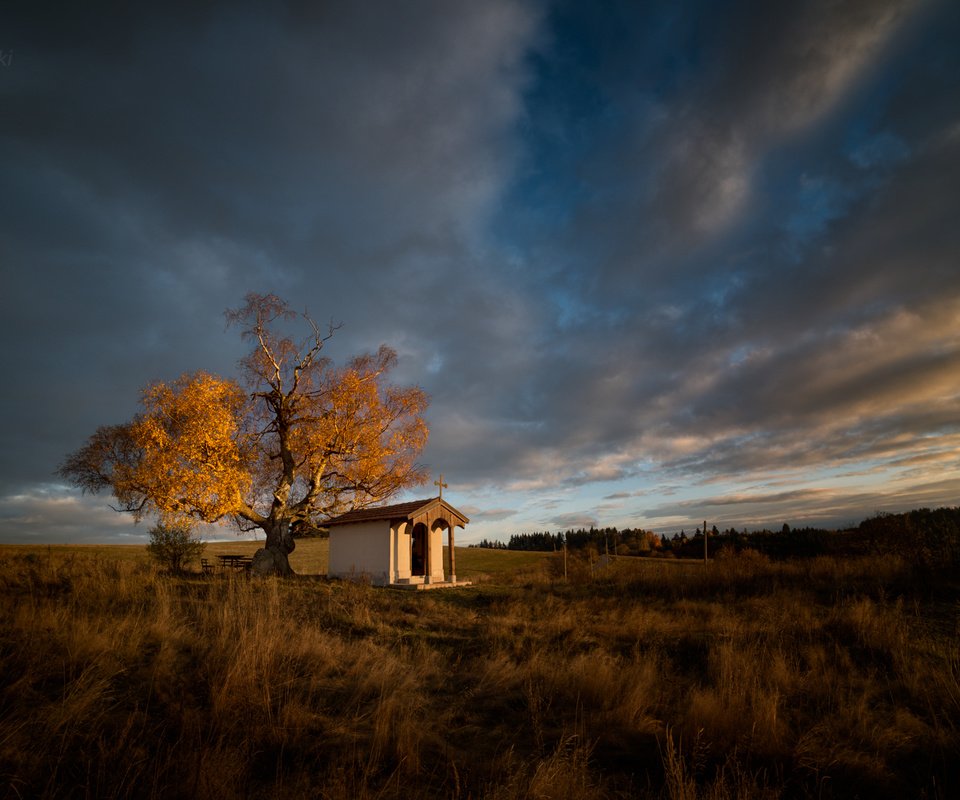 Обои дерево, поле, осень, tree, field, autumn разрешение 2048x1280 Загрузить