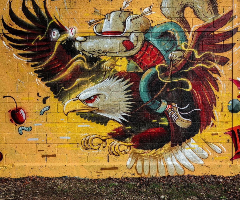 Обои стена, орел, графити, wall, eagle, grafiti разрешение 2048x1365 Загрузить