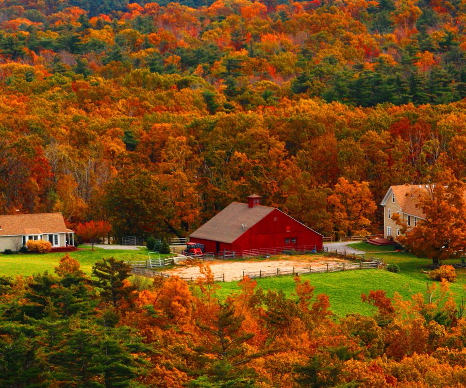 Обои деревья, лес, осень, дома, trees, forest, autumn, home разрешение 1920x1280 Загрузить