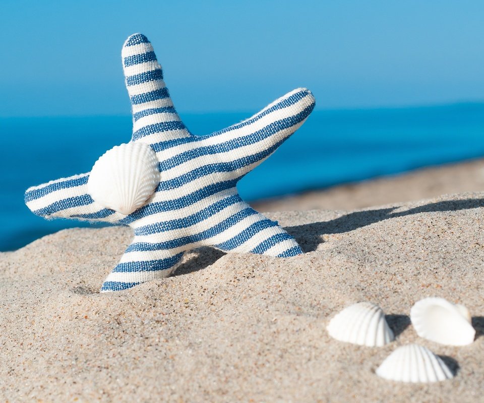 Обои море, песок, пляж, ракушки, голубая, морская звезда, песка, seashells, летнее, sea, sand, beach, shell, blue, starfish, summer разрешение 2848x2170 Загрузить