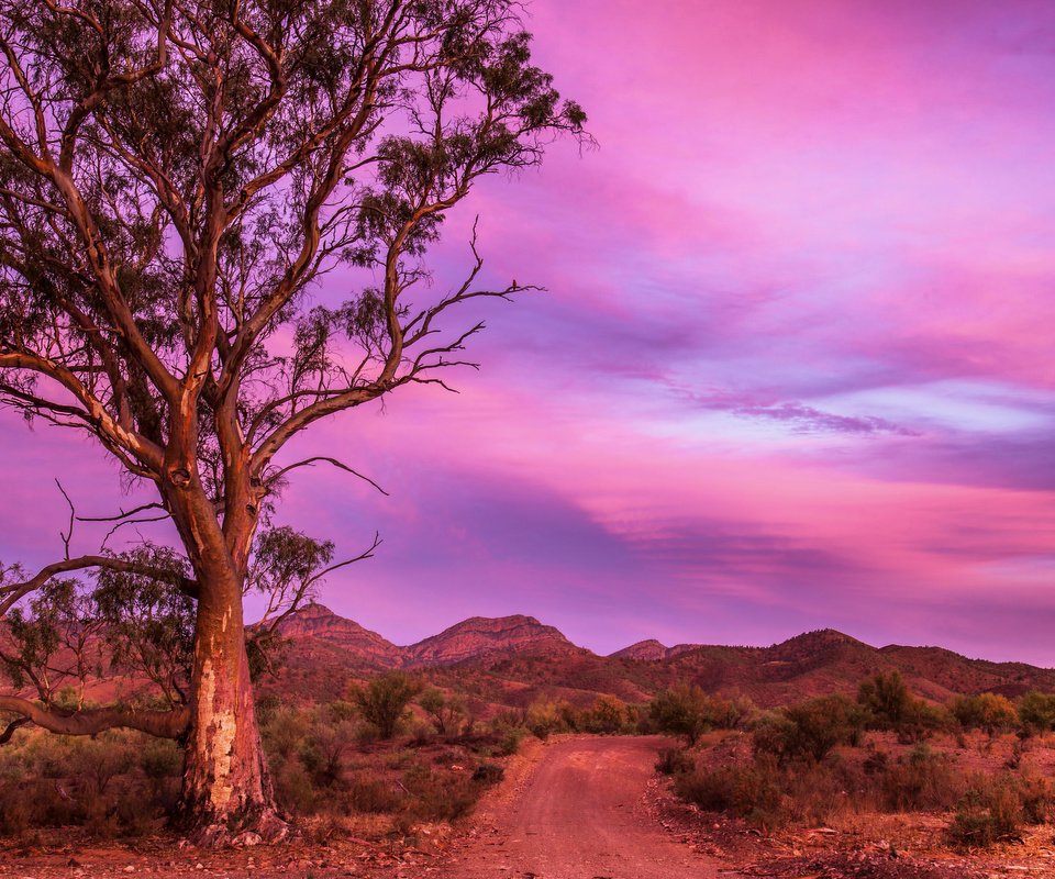 Обои дорога, горы, природа, дерево, австралия, road, mountains, nature, tree, australia разрешение 2048x1354 Загрузить