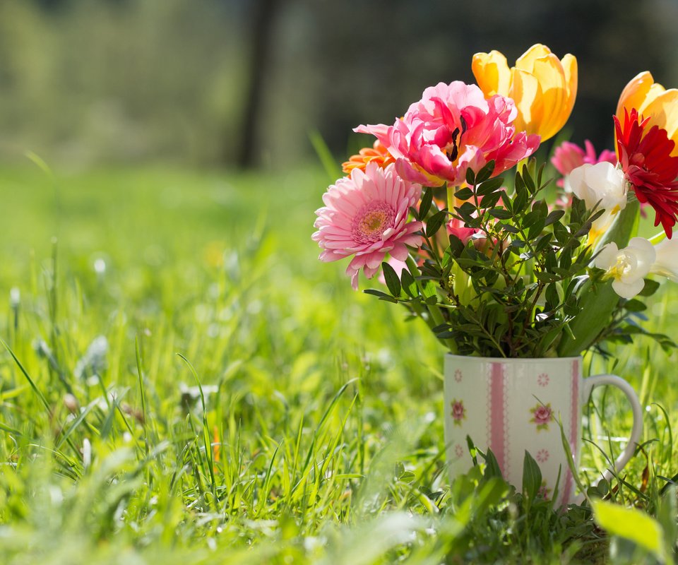 Обои трава, кружка, букет, тюльпаны, герберы, grass, mug, bouquet, tulips, gerbera разрешение 2048x1362 Загрузить