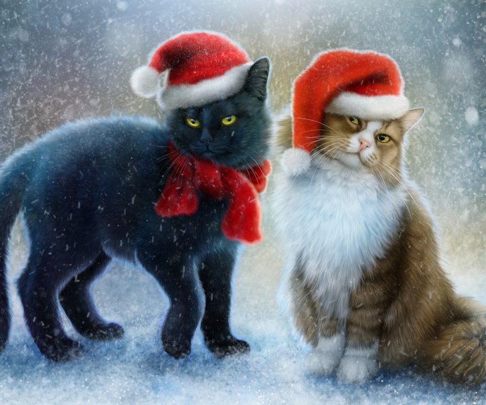 Обои арт, снег, коты, кошки, шарф, шапочки, колпак санты, art, snow, cats, scarf, beanie разрешение 4400x2842 Загрузить