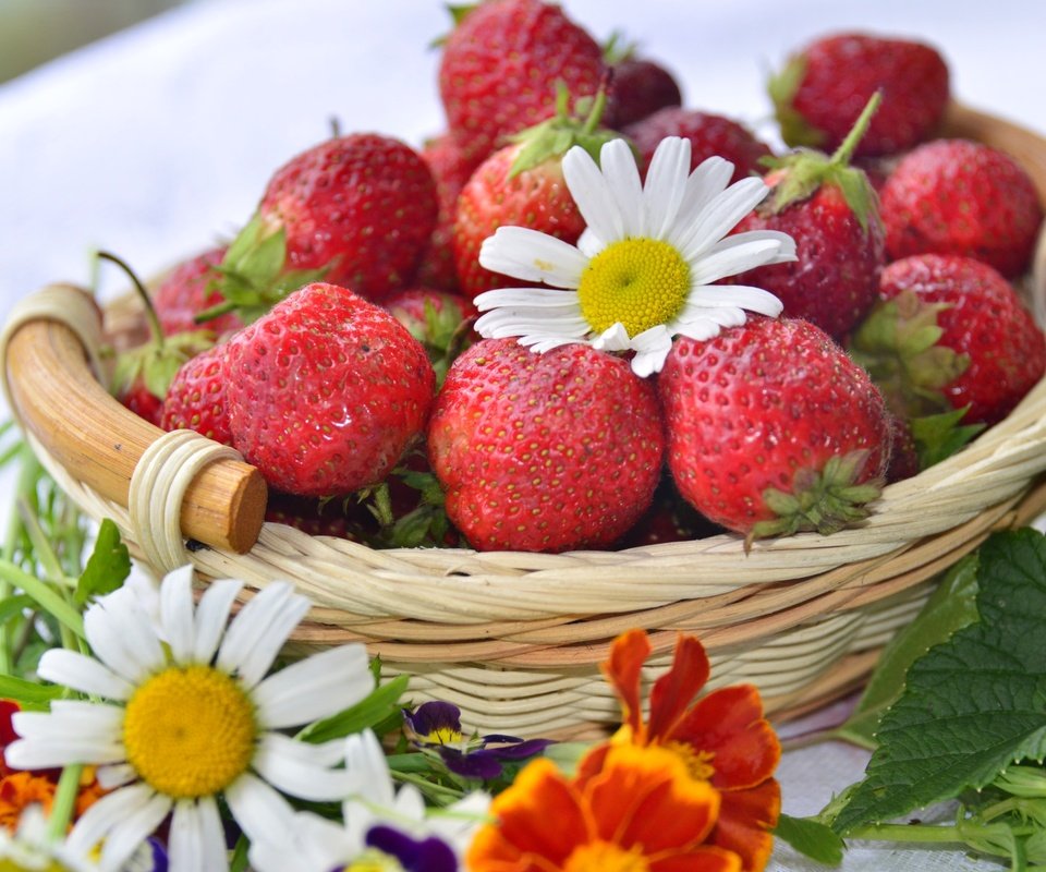 Обои клубника, ромашка, корзина, ягоды, бархатцы, strawberry, daisy, basket, berries, marigolds разрешение 3200x2045 Загрузить