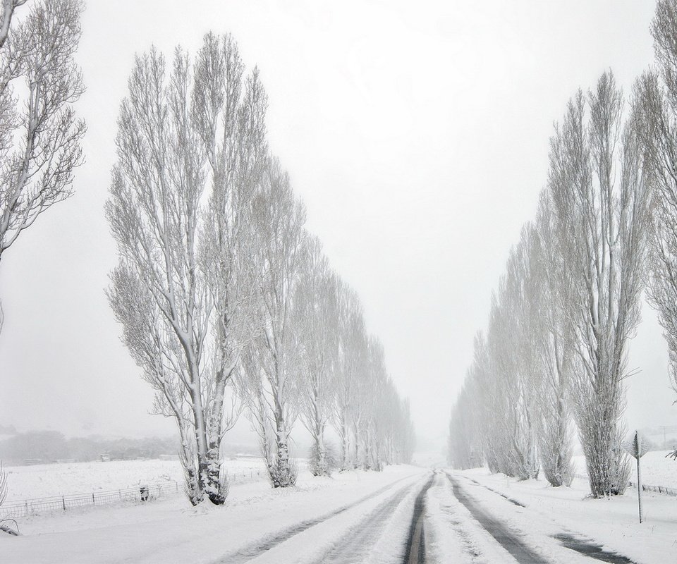 Обои дорога, деревья, снег, зима, road, trees, snow, winter разрешение 1920x1080 Загрузить