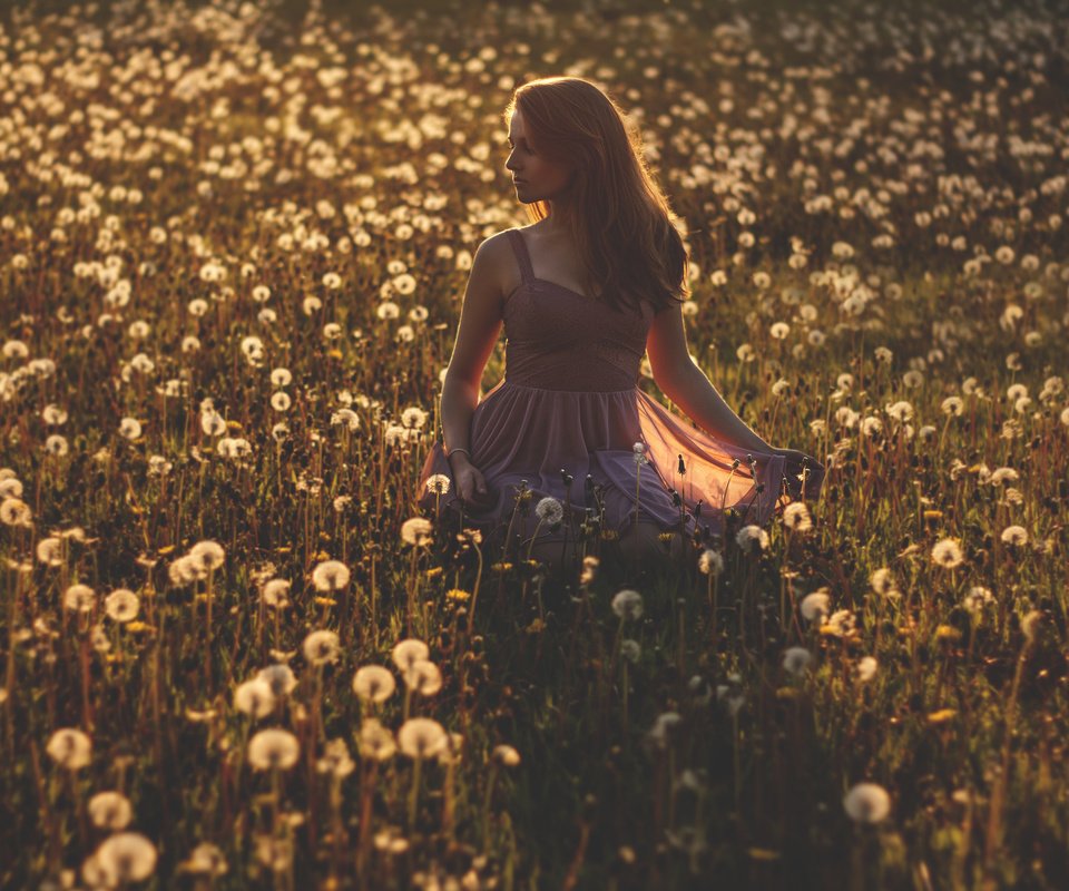 Обои цветы, девушка, платье, поле, одуванчики, flowers, girl, dress, field, dandelions разрешение 3708x2412 Загрузить