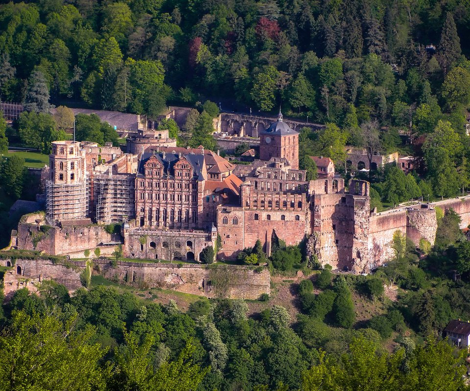 Обои деревья, лес, замок, вид сверху, германия, heidelberg castle, trees, forest, castle, the view from the top, germany разрешение 2048x1536 Загрузить