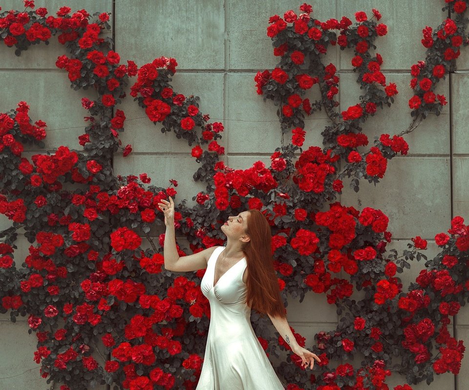 Обои цветы, девушка, платье, поза, стена, лицо, flowers, girl, dress, pose, wall, face разрешение 2048x1365 Загрузить