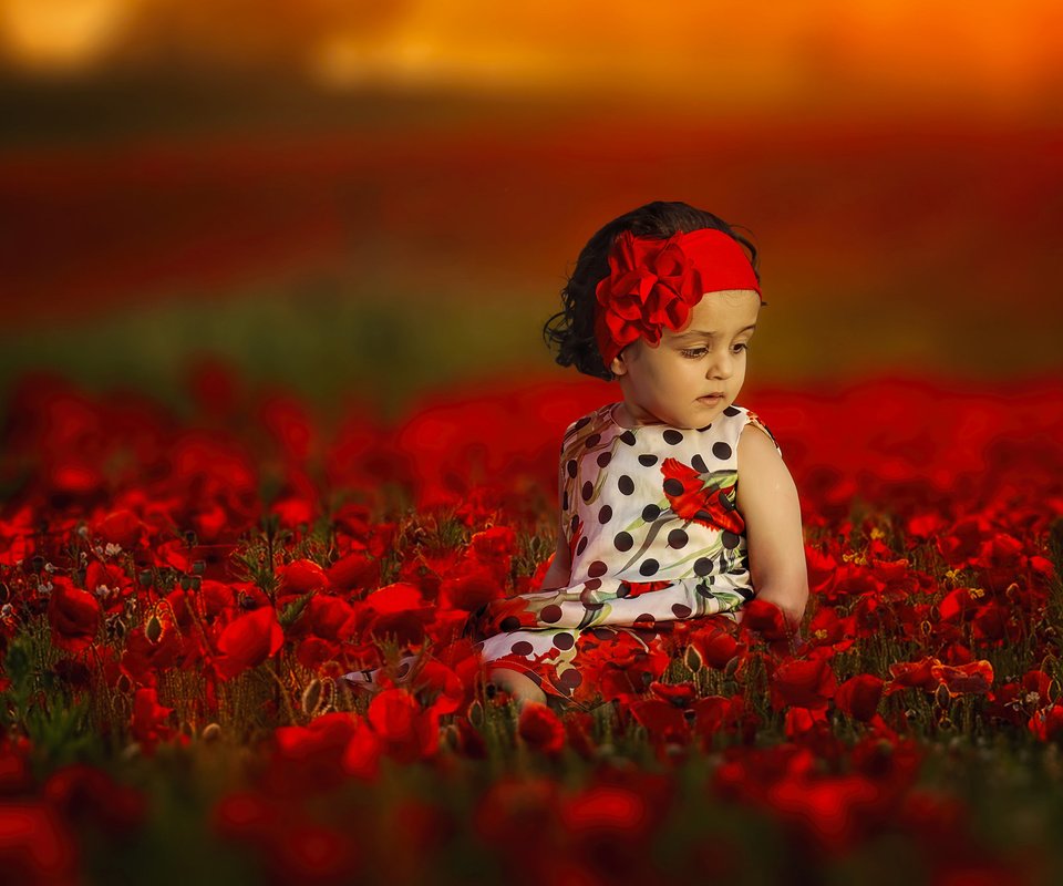 Обои цветы, настроение, маки, девочка, повязка, боке, flowers, mood, maki, girl, headband, bokeh разрешение 2048x1367 Загрузить