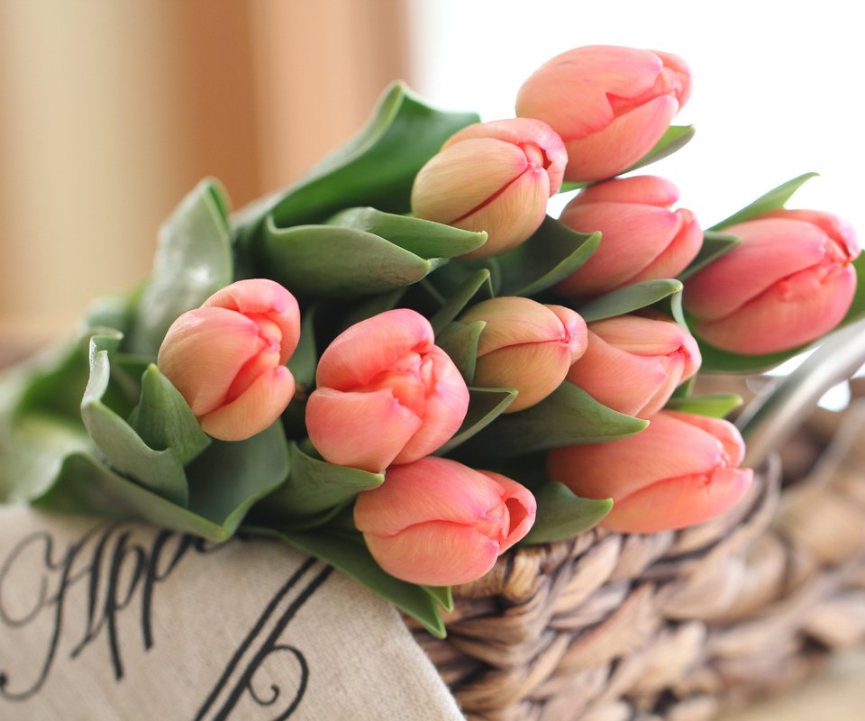 Обои бутоны, букет, тюльпаны, buds, bouquet, tulips разрешение 5184x3456 Загрузить