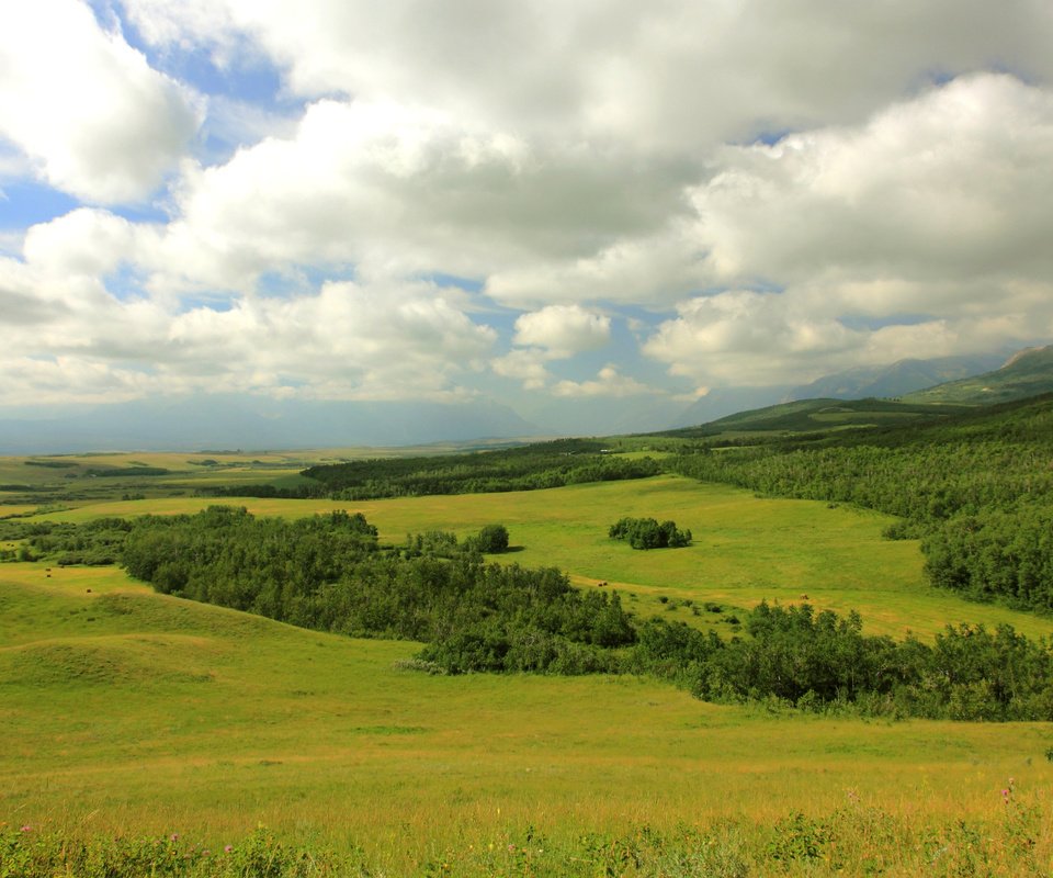 Обои облака, горы, лес, поля, канада, луга, провинция альберта, clouds, mountains, forest, field, canada, meadows, alberta разрешение 3200x1900 Загрузить