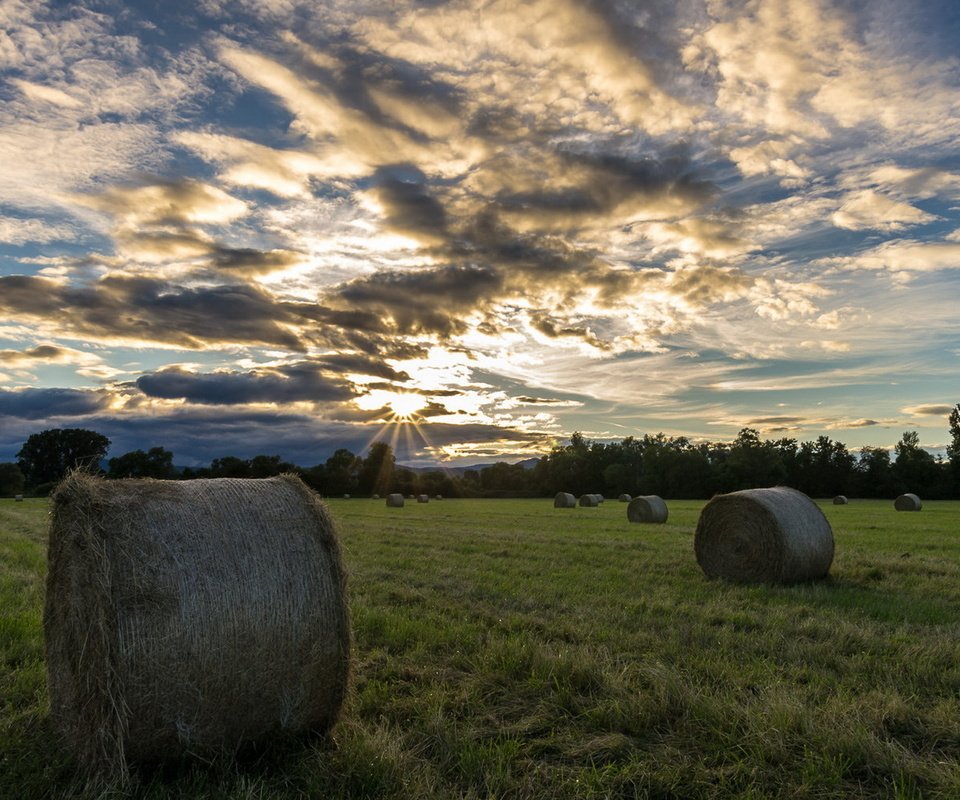 Обои природа, поле, сено, лето, тюки, рулоны, nature, field, hay, summer, bales, rolls разрешение 1920x1209 Загрузить