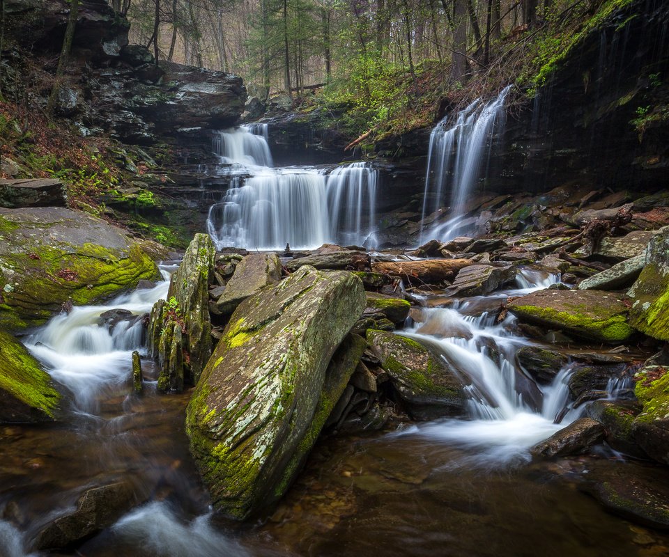 Обои деревья, камни, лес, ручей, водопад, сша, мох, ricketts glen state park, trees, stones, forest, stream, waterfall, usa, moss разрешение 3209x2000 Загрузить