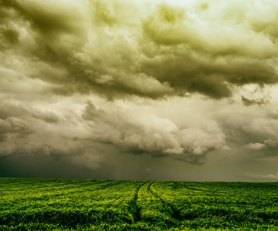 Обои небо, природа, поле, the sky, nature, field разрешение 2048x1365 Загрузить