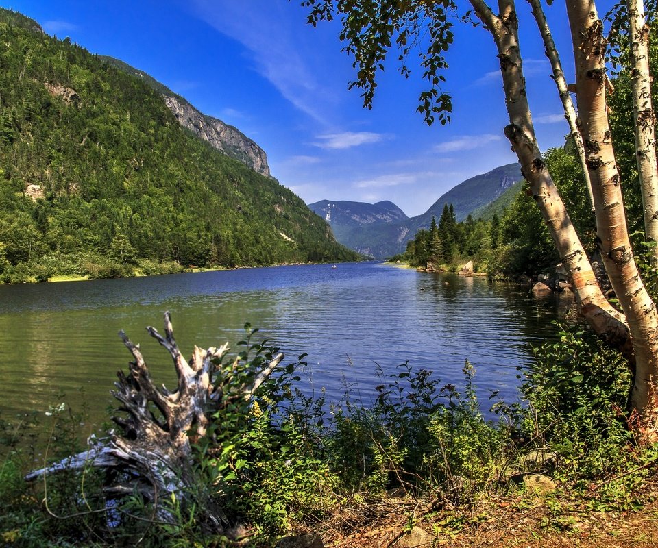 Обои трава, hautes-gorges-de-la-riviere-malbaie national, деревья, река, горы, камни, берег, лес, канада, grass, trees, river, mountains, stones, shore, forest, canada разрешение 2880x1933 Загрузить