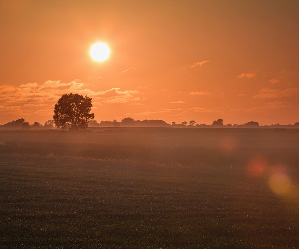 Обои небо, облака, солнце, утро, туман, поле, рассвет, the sky, clouds, the sun, morning, fog, field, dawn разрешение 1920x1080 Загрузить