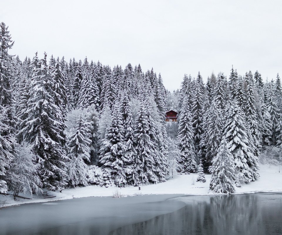 Обои деревья, озеро, снег, лес, зима, швейцария, домик, trees, lake, snow, forest, winter, switzerland, house разрешение 2560x1600 Загрузить