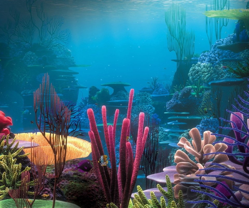 Обои природа, дно, океан, кораллы, риф, подводный мир, nature, the bottom, the ocean, corals, reef, underwater world разрешение 1920x1080 Загрузить