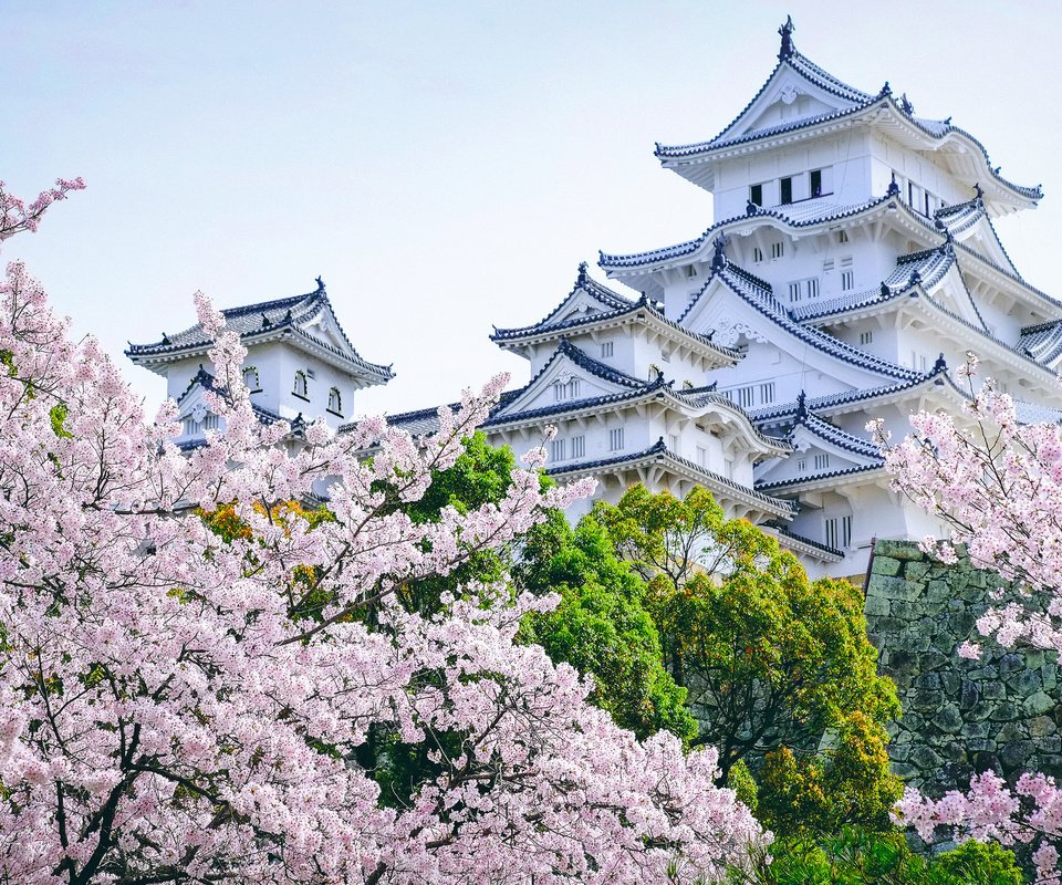 Обои деревья, замок, пагода, япония, сад, сакура, замок химэдзи, trees, castle, pagoda, japan, garden, sakura, himeji castle разрешение 2048x1365 Загрузить