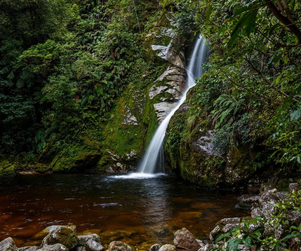 Обои камни, лес, ручей, кусты, водопад, мох, новая зеландия, hokitika, stones, forest, stream, the bushes, waterfall, moss, new zealand разрешение 2880x2046 Загрузить